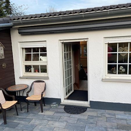 Ferienhaus Glueckspilz Beim Hennesee メシェデ エクステリア 写真