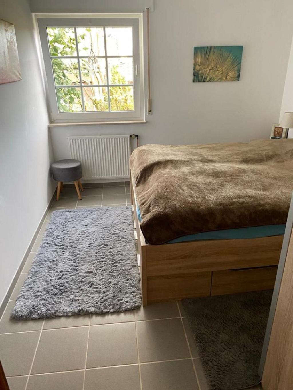 Ferienhaus Glueckspilz Beim Hennesee メシェデ エクステリア 写真