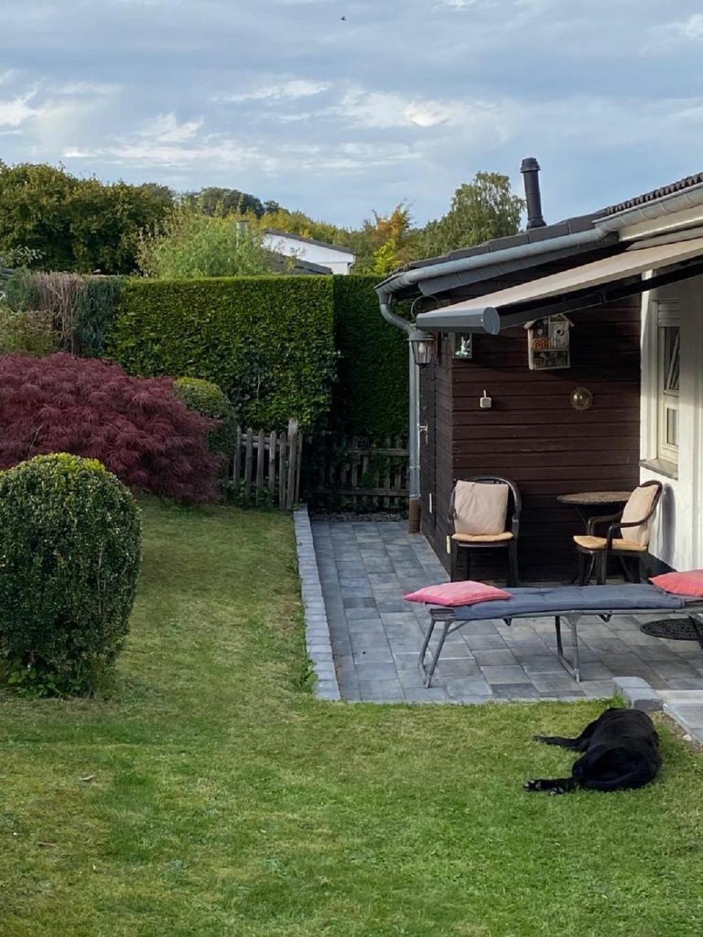 Ferienhaus Glueckspilz Beim Hennesee メシェデ エクステリア 写真