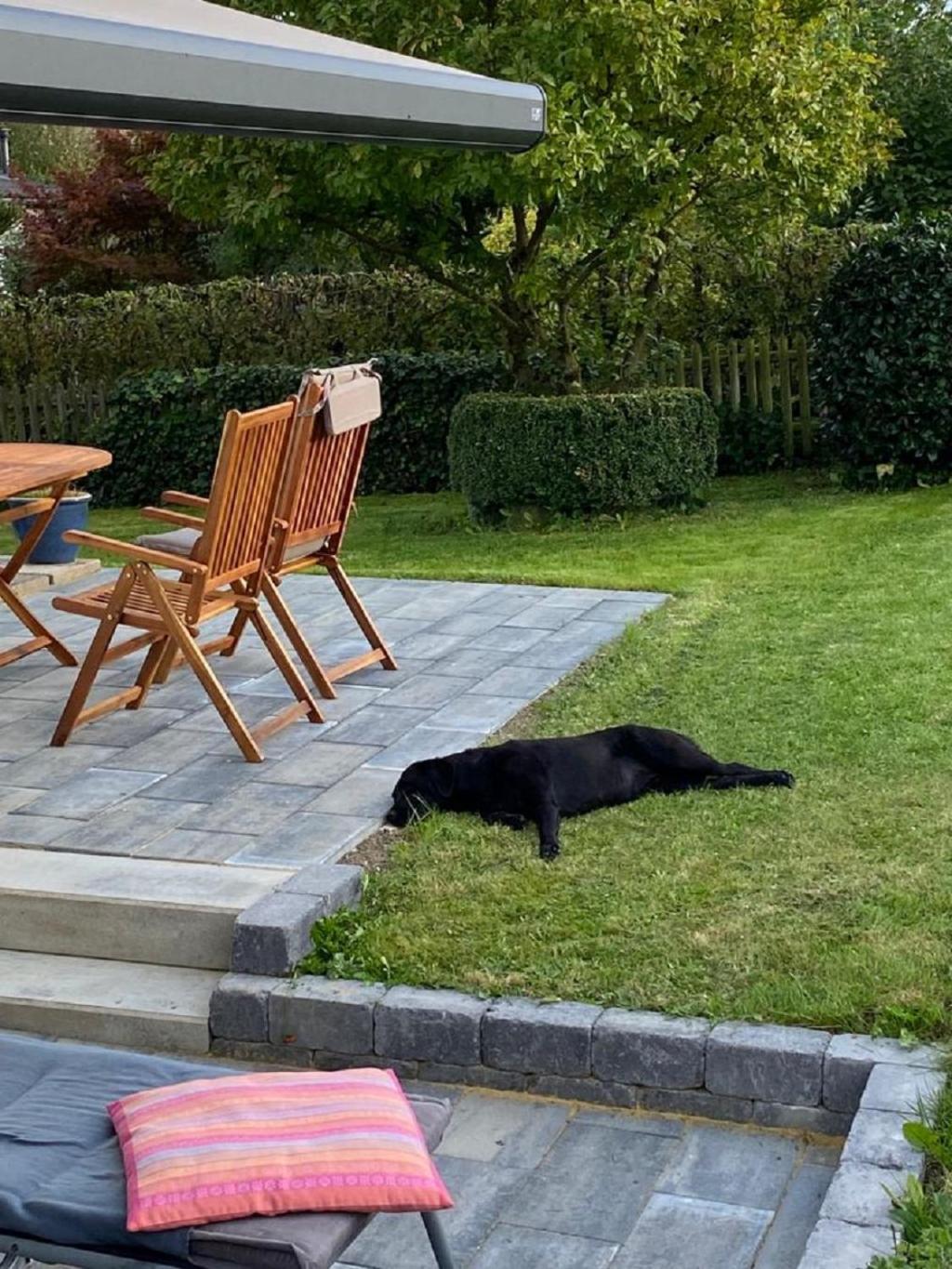 Ferienhaus Glueckspilz Beim Hennesee メシェデ エクステリア 写真