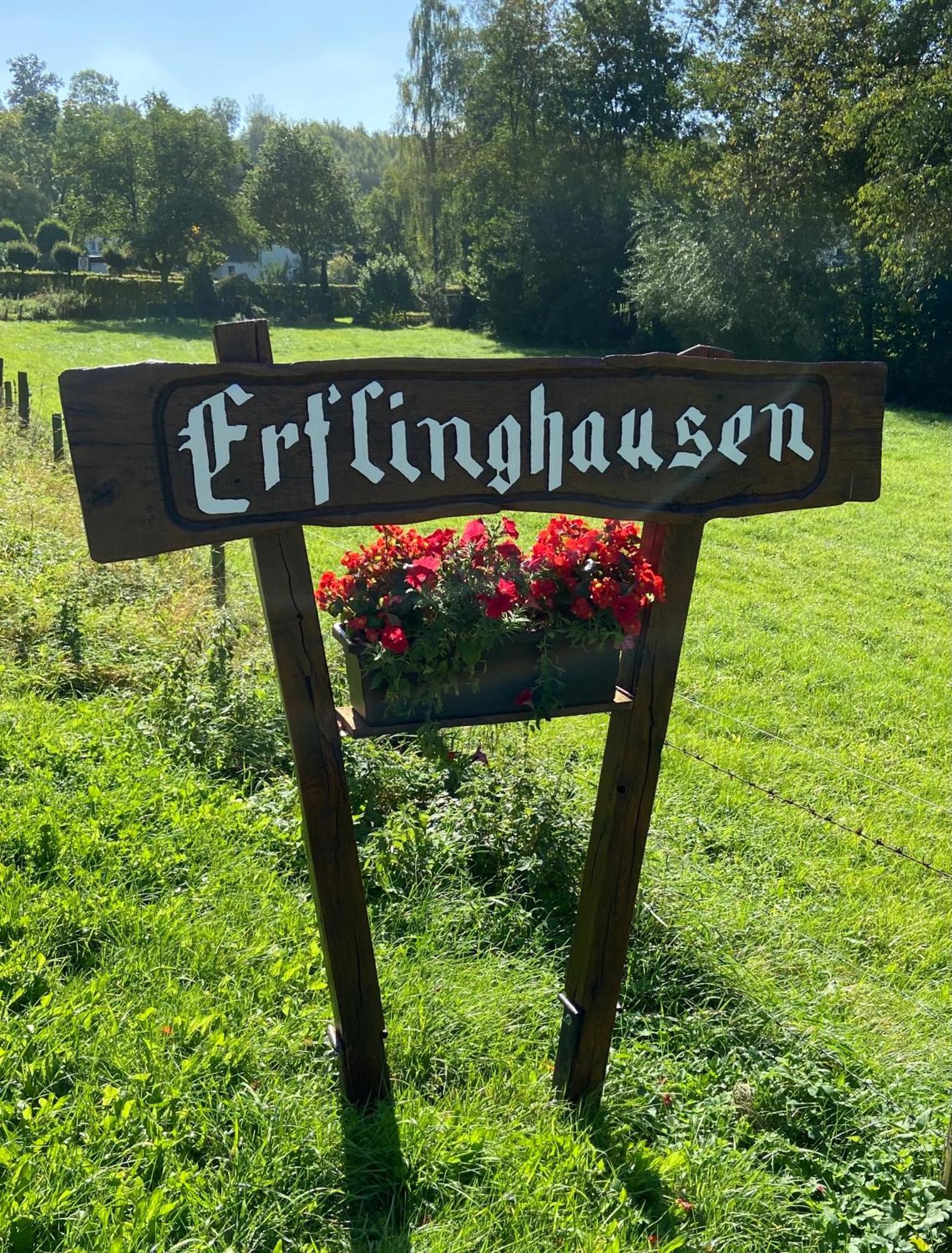 Ferienhaus Glueckspilz Beim Hennesee メシェデ エクステリア 写真